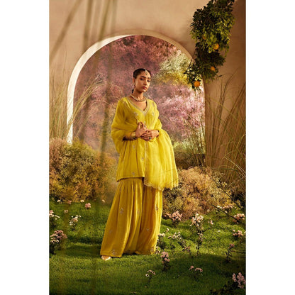 CHARU MAKKAR Mustard Kurti with Sharara & Dupatta (Set of 3)