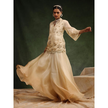 CHARU MAKKAR Beige Sharara with Kurta (Set of 2)
