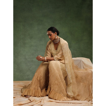 CHARU MAKKAR Nude Sharara with Kurta and Dupatta (Set of 3)