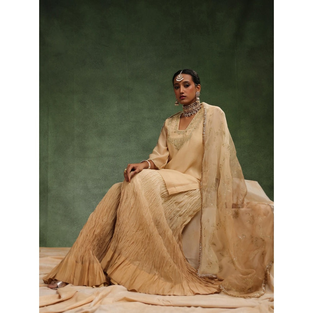 CHARU MAKKAR Nude Sharara with Kurta and Dupatta (Set of 3)
