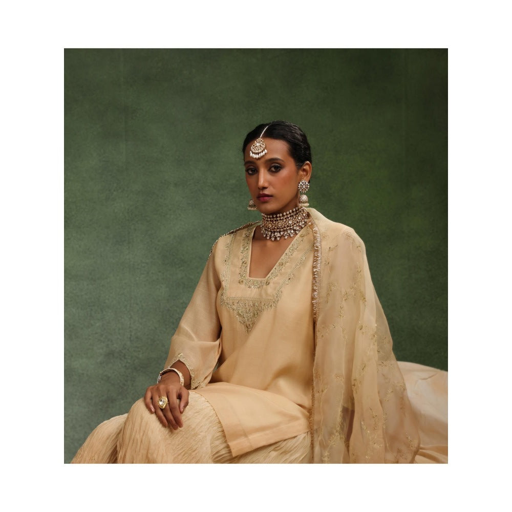CHARU MAKKAR Nude Sharara with Kurta and Dupatta (Set of 3)