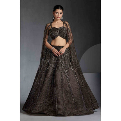 CHAASHNI BY MAANSI & KETAN Green Organza Embellished Lehenga with Choli and Cape (Set of 3)