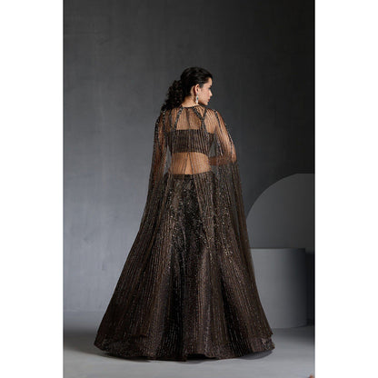 CHAASHNI BY MAANSI & KETAN Green Organza Embellished Lehenga with Choli and Cape (Set of 3)