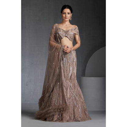 CHAASHNI BY MAANSI & KETAN Nude Embellished Net Lehenga with Choli and Dupatta (Set of 3)