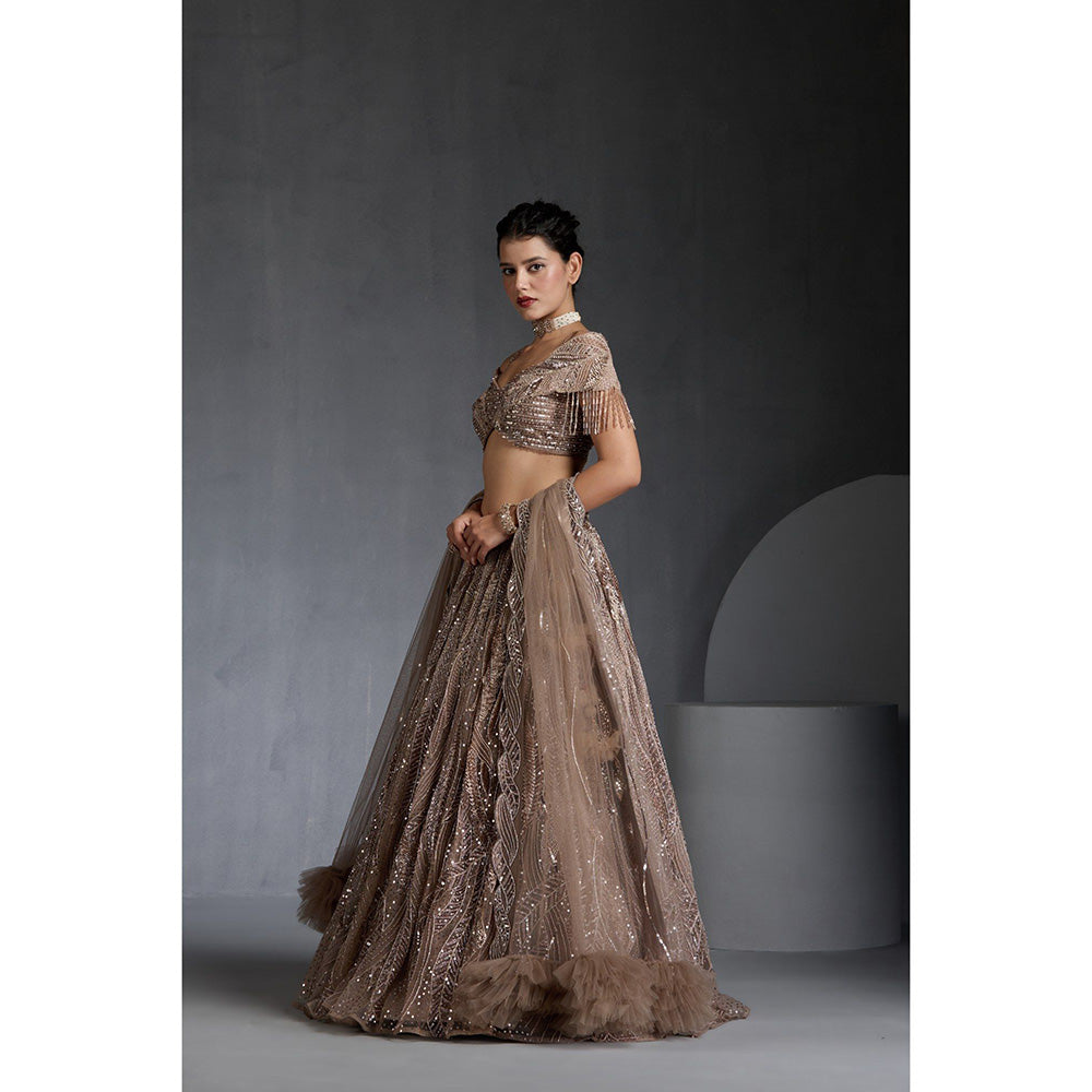 CHAASHNI BY MAANSI & KETAN Beige Embellished Net Lehenga with Choli and Dupatta (Set of 3)