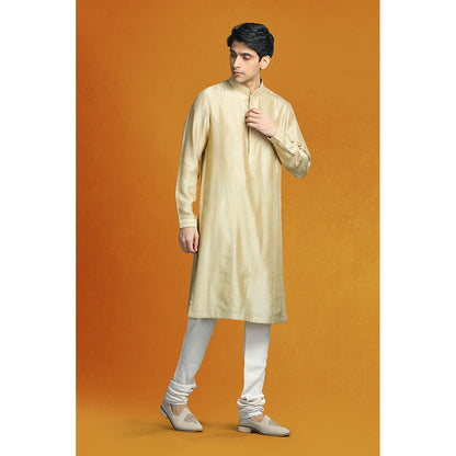 CHAR CHAAND Beige Sherwani Set with Vertical Floral Embroidery