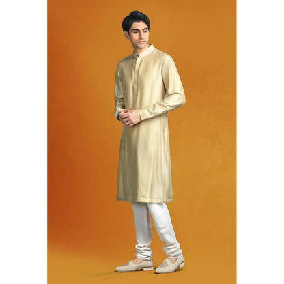 CHAR CHAAND Beige Sherwani Set with Vertical Floral Embroidery