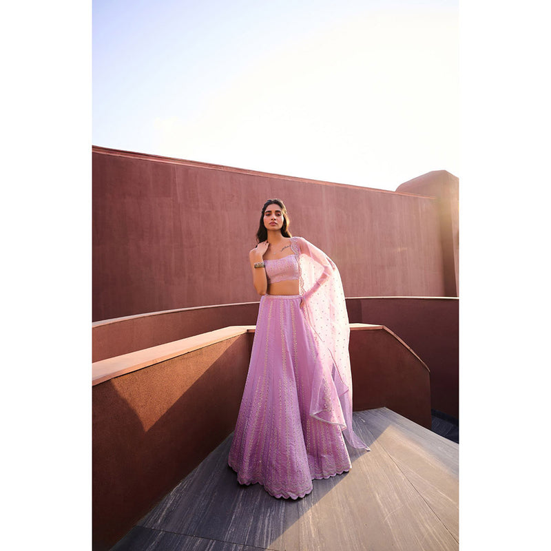 Chamee and Palak Lavender Lehenga with Blouse and Dupatta (Set of 3)
