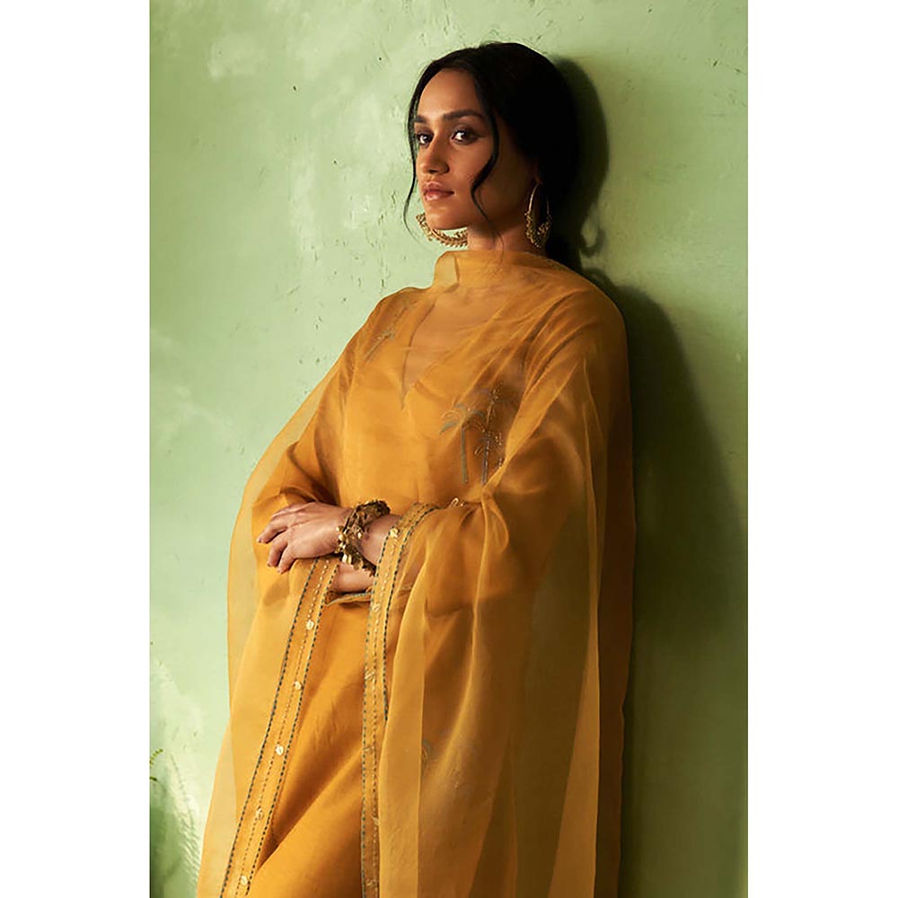 Charkhee Kinara Kurta with Pant