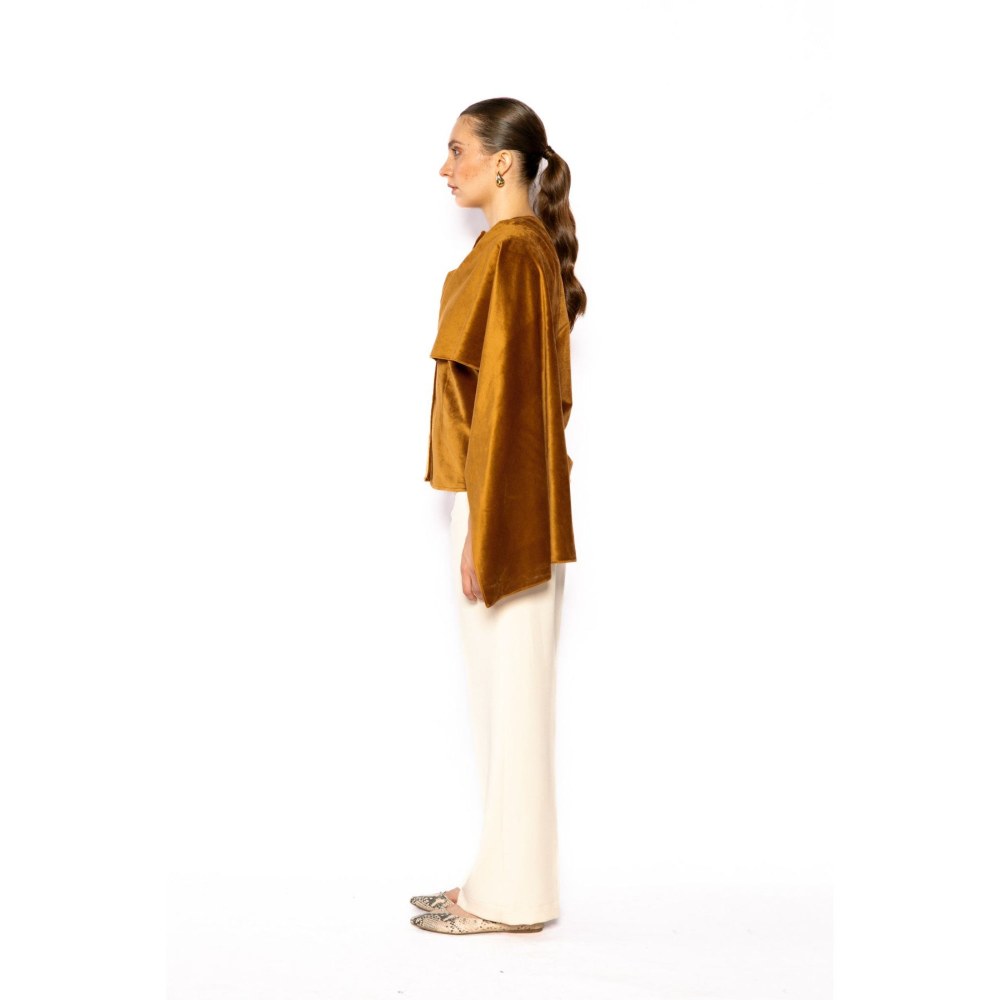 Contemponari Womens Pegasus Solid Brown Shirt
