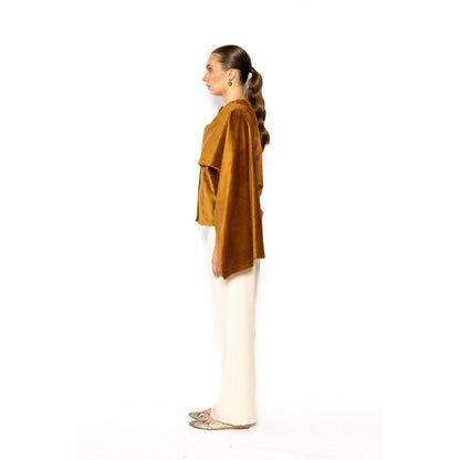 Contemponari Womens Pegasus Solid Brown Shirt