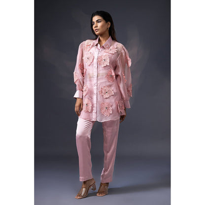 Daatri by meenakshi kakkar Pink 3D Embroidered Co-Ord (Set of 3)