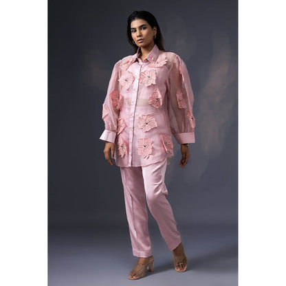 Daatri by meenakshi kakkar Pink 3D Embroidered Co-Ord (Set of 3)