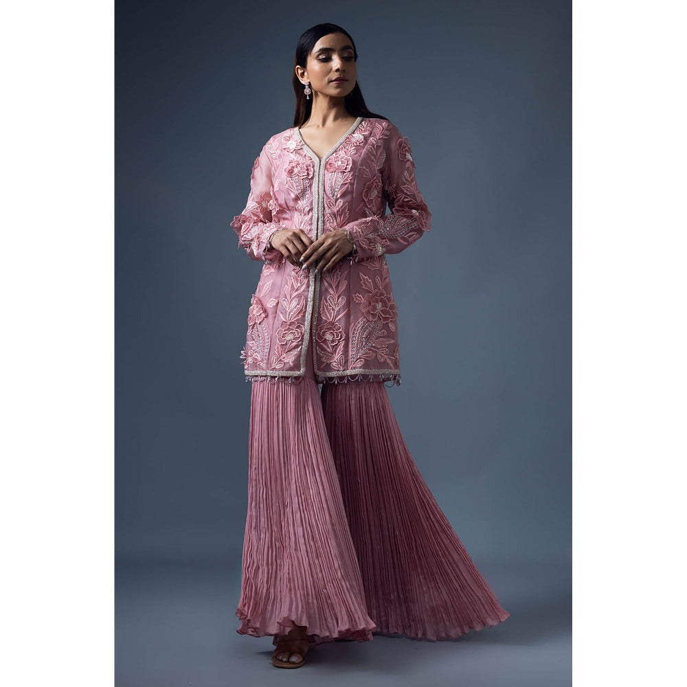 Daatri by meenakshi kakkar Peach 3D Embroidered Jacket with Roached Sharara (Set of 2)