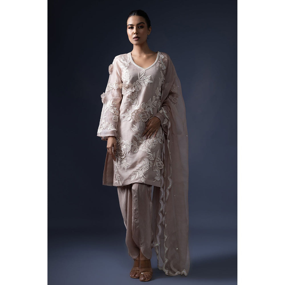 Daatri by meenakshi kakkar Taupe 3D Embroidered Kurta with Dhoti and Dupatta (Set of 3)