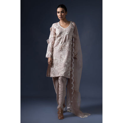 Daatri by meenakshi kakkar Taupe 3D Embroidered Kurta with Dhoti and Dupatta (Set of 3)