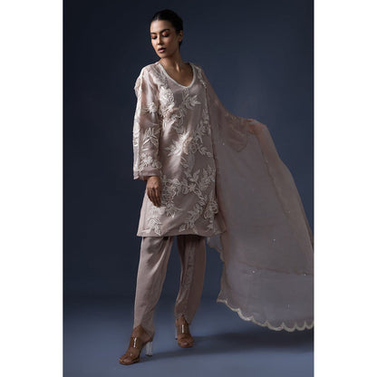 Daatri by meenakshi kakkar Taupe 3D Embroidered Kurta with Dhoti and Dupatta (Set of 3)