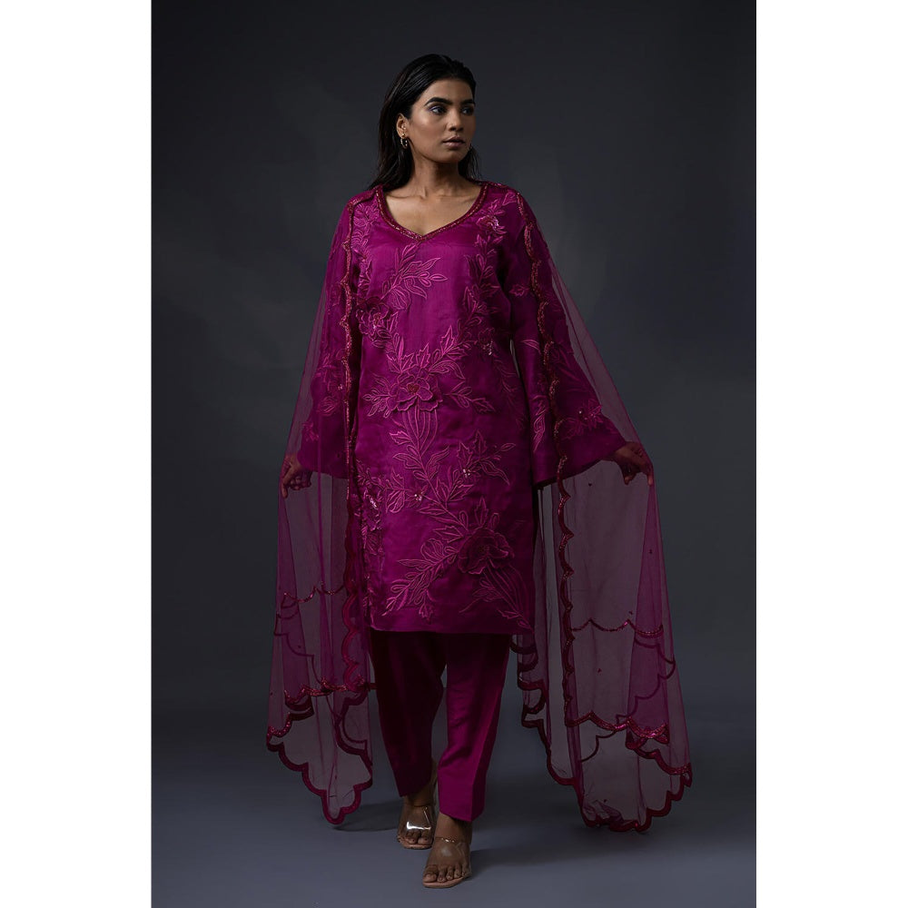 Daatri by meenakshi kakkar Pink 3D Embroidered Kurta with Salwar and Dupatta (Set of 3)