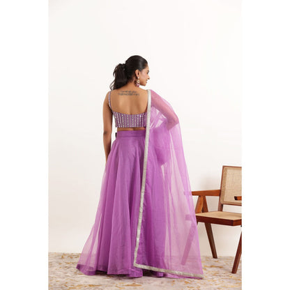 DEASHA INDIA Aahana Lavender Detailed Organza Lehenga with Blouse and Dupatta (Set of 3)