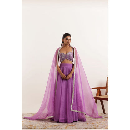 DEASHA INDIA Aahana Lavender Detailed Organza Lehenga with Blouse and Dupatta (Set of 3)