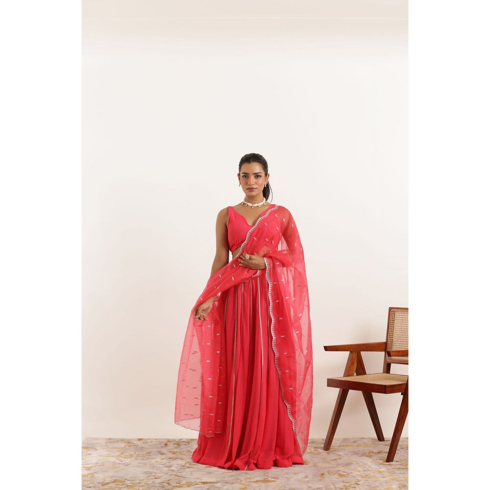 DEASHA INDIA Ayana Fiery Rose Detailed Lehenga with Blouse and Dupatta (Set of 3)