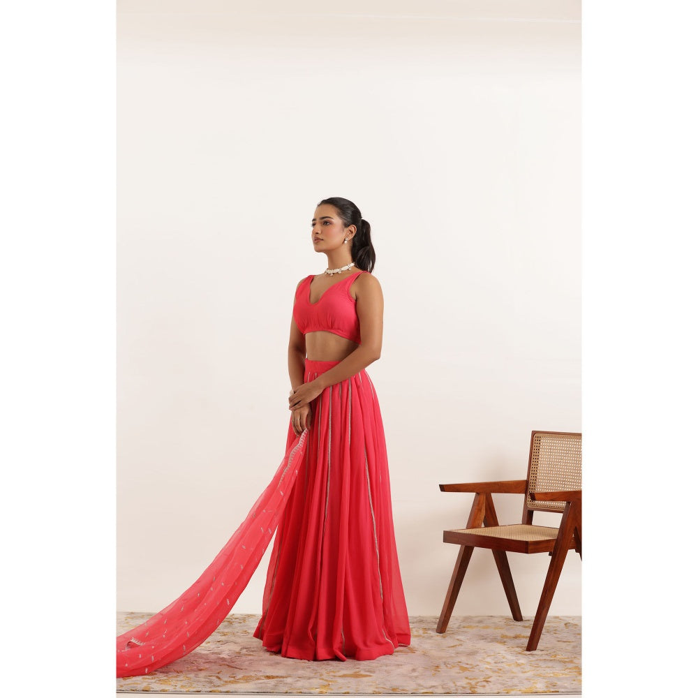 DEASHA INDIA Ayana Fiery Rose Detailed Lehenga with Blouse and Dupatta (Set of 3)