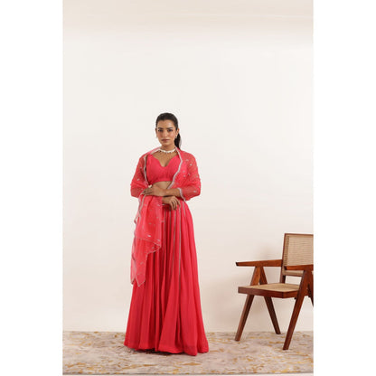 DEASHA INDIA Ayana Fiery Rose Detailed Lehenga with Blouse and Dupatta (Set of 3)