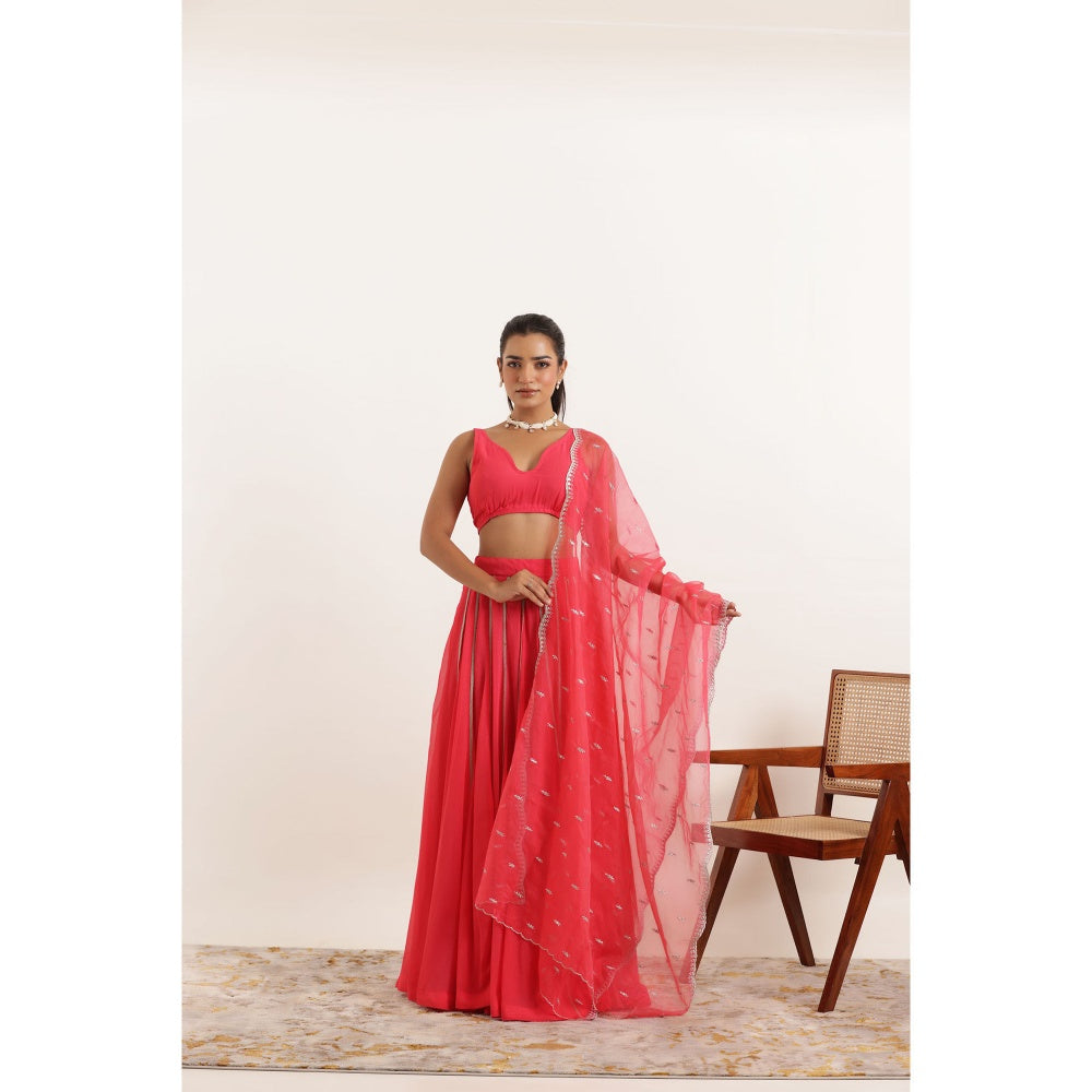 DEASHA INDIA Ayana Fiery Rose Detailed Lehenga with Blouse and Dupatta (Set of 3)