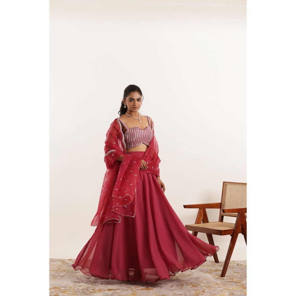 DEASHA INDIA Asha Mystic Maroon Detailed Lehenga with Blouse and Dupatta (Set of 3)