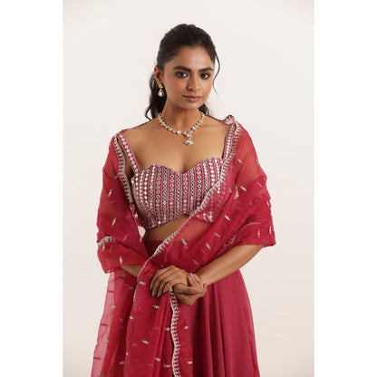 DEASHA INDIA Asha Mystic Maroon Detailed Lehenga with Blouse and Dupatta (Set of 3)