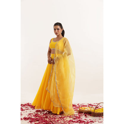 DEASHA INDIA Kavya Yellow Detailed Lehenga with Blouse and Dupatta (Set of 3)