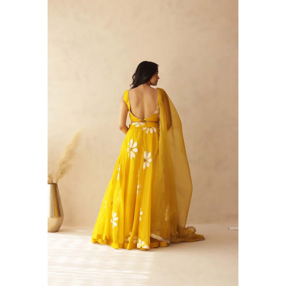 DEASHA INDIA Hiral Yellow Hand Painted Lehenga with Blouse and Dupatta (Set of 3)