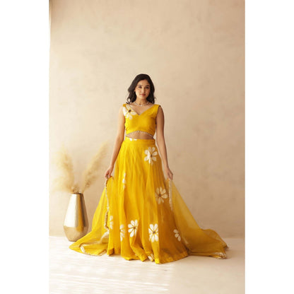 DEASHA INDIA Hiral Yellow Hand Painted Lehenga with Blouse and Dupatta (Set of 3)