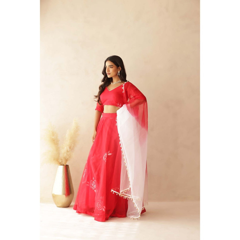 DEASHA INDIA Zohra Red Hand Painted Lehenga with Blouse and Dupatta (Set of 3)