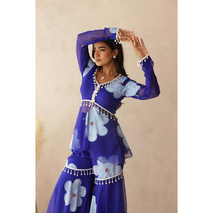 DEASHA INDIA Rahini Blue Hand Painted Co-Ord (Set of 2)