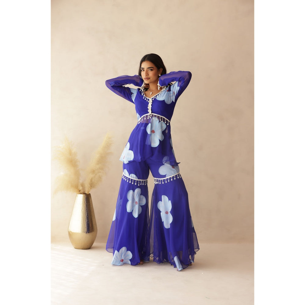 DEASHA INDIA Rahini Blue Hand Painted Co-Ord (Set of 2)