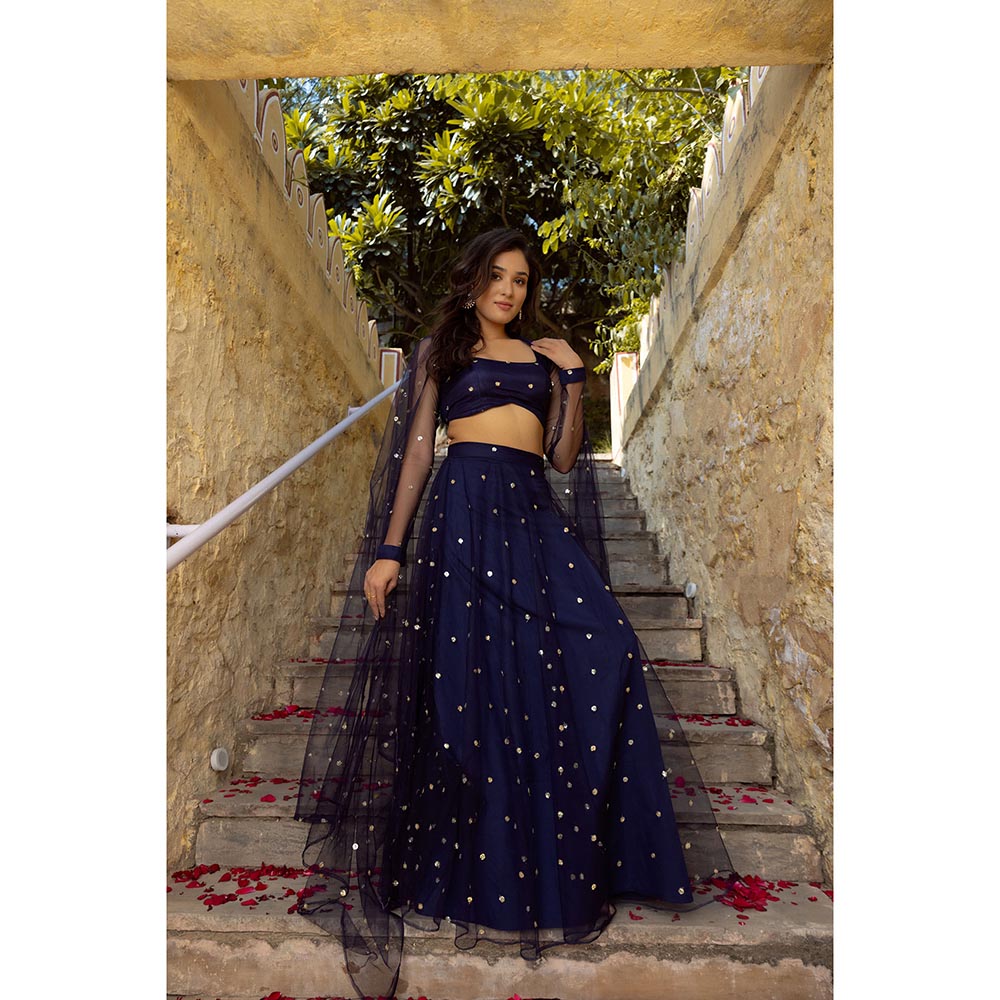 DEASHA INDIA Aaina Navy Blue Embroidered Net Lehenga with Blouse and Dupatta (Set of 3)