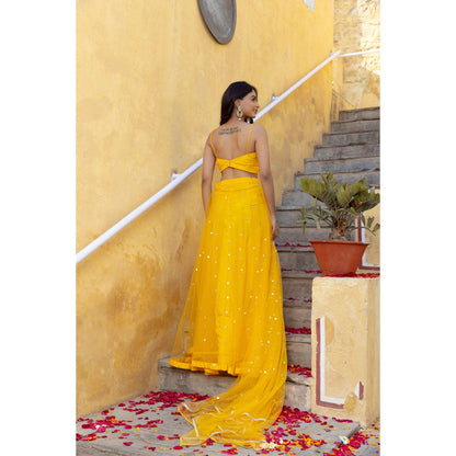 DEASHA INDIA Sahana Yellow Embroidered Net Lehenga with Blouse and Dupatta (Set of 3)