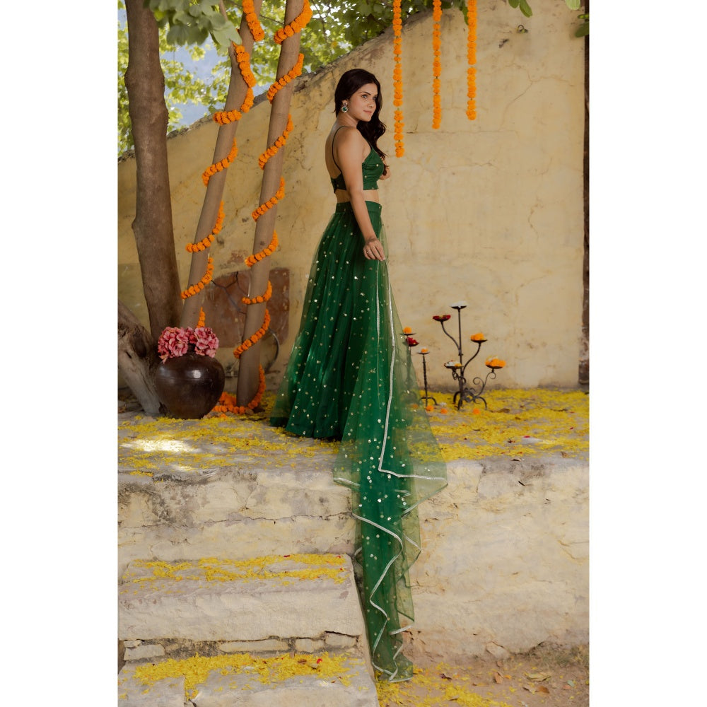 DEASHA INDIA Heena Green Net Embroidered Lehenga with Blouse and Dupatta (Set of 3)