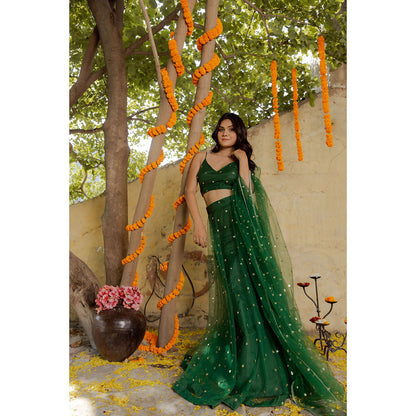 DEASHA INDIA Heena Green Net Embroidered Lehenga with Blouse and Dupatta (Set of 3)