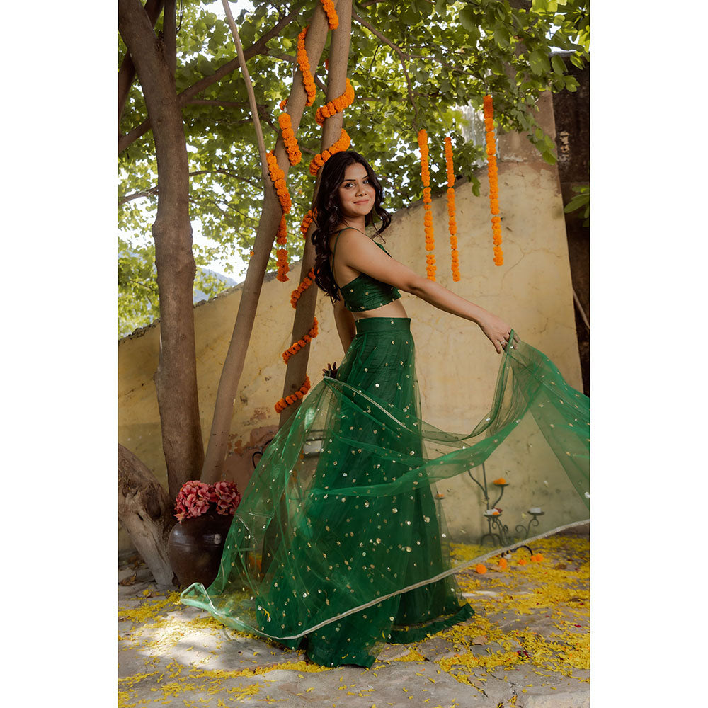 DEASHA INDIA Heena Green Net Embroidered Lehenga with Blouse and Dupatta (Set of 3)
