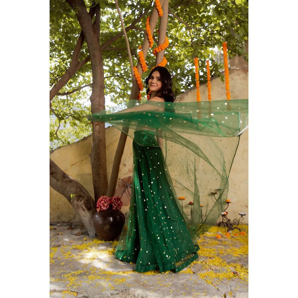 DEASHA INDIA Heena Green Net Embroidered Lehenga with Blouse and Dupatta (Set of 3)