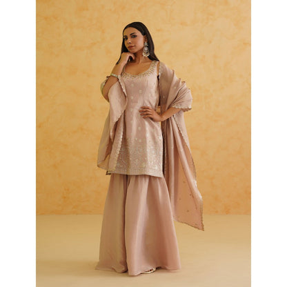 Deepika Chadha Blush Pink Georgette Tissue Sharara with Kurti and Dupatta (Set of 3)