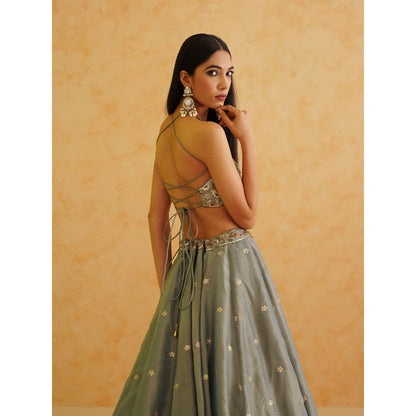 Deepika Chadha Grey Georgette Tissue Lehenga with Blouse and Dupatta (Set of 3)