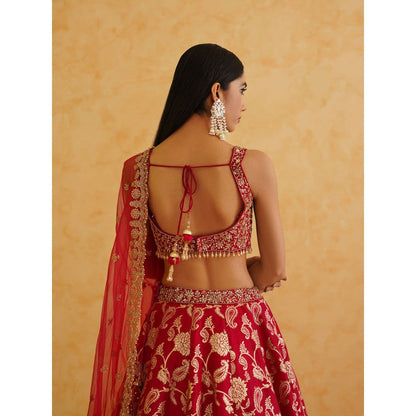 Deepika Chadha Pink Brocade Lehenga with Blouse and Dupatta (Set of 3)