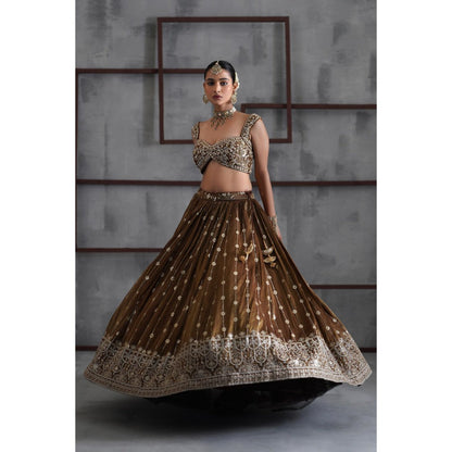 Deepika Chadha Brown Embroidered Blouse with Lehenga and Dupatta (Set of 3)