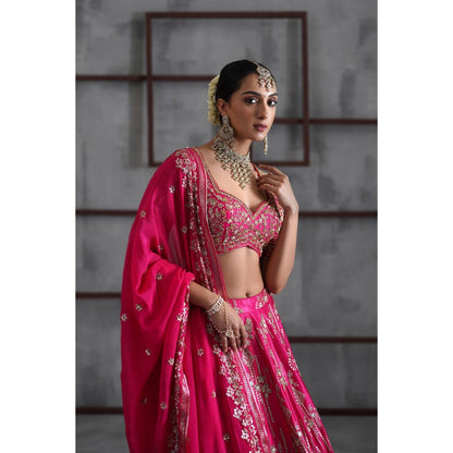 Deepika Chadha Pink Embroidered Blouse with Lehenga and Dupatta (Set of 3)