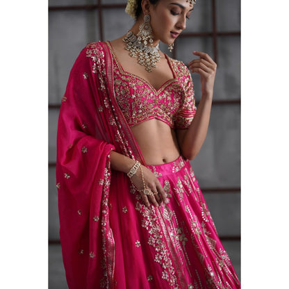 Deepika Chadha Pink Embroidered Blouse with Lehenga and Dupatta (Set of 3)