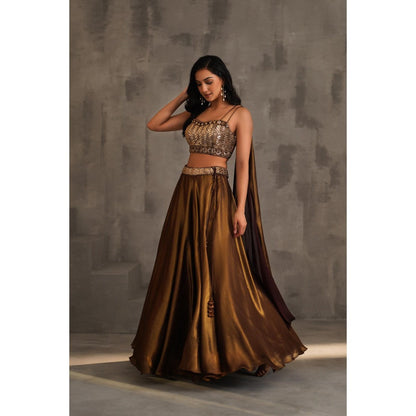Deepika Chadha Brown Embroidered Drape Attached Blouse and Lehenga (Set of 2)