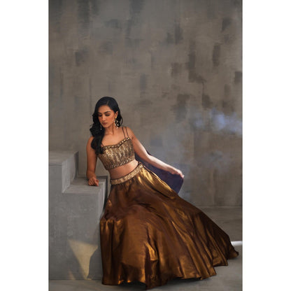 Deepika Chadha Brown Embroidered Drape Attached Blouse and Lehenga (Set of 2)